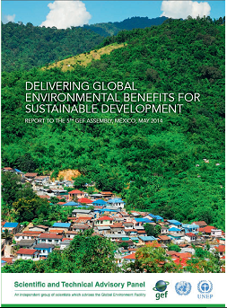 Delivering Global Environmental Benefits for Sustainable Development: Report to the 5th GEF Assembly