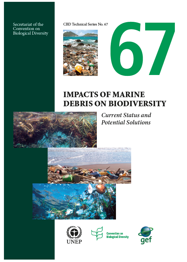 Impacts of Marine Debris on Biodiversity: Current Status and Potential Solutions