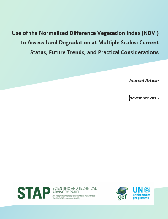 Use of the Normalized Difference Vegetation Index (NDVI) to Assess Land Degradation at Multiple Scales: Current Status, Future Trends, and Practical Considerations